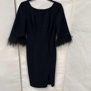 ADRIANNA PAPELL Feather-Trim Crepe Sheath Evening Formal Dress Size‎ 2 Black
